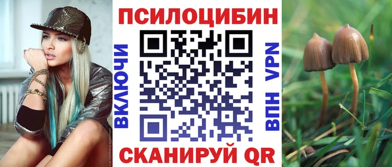 что такое наркотик  Магас  Галлюциногенные грибы Psilocybine cubensis 